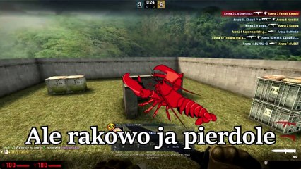 Ferdek Kiepski gra w CS GO  (TrolleQ na mikrofonie)