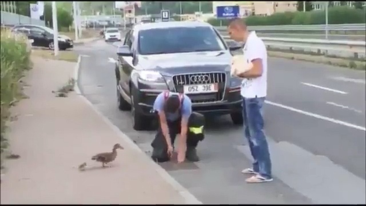 İşte bu!