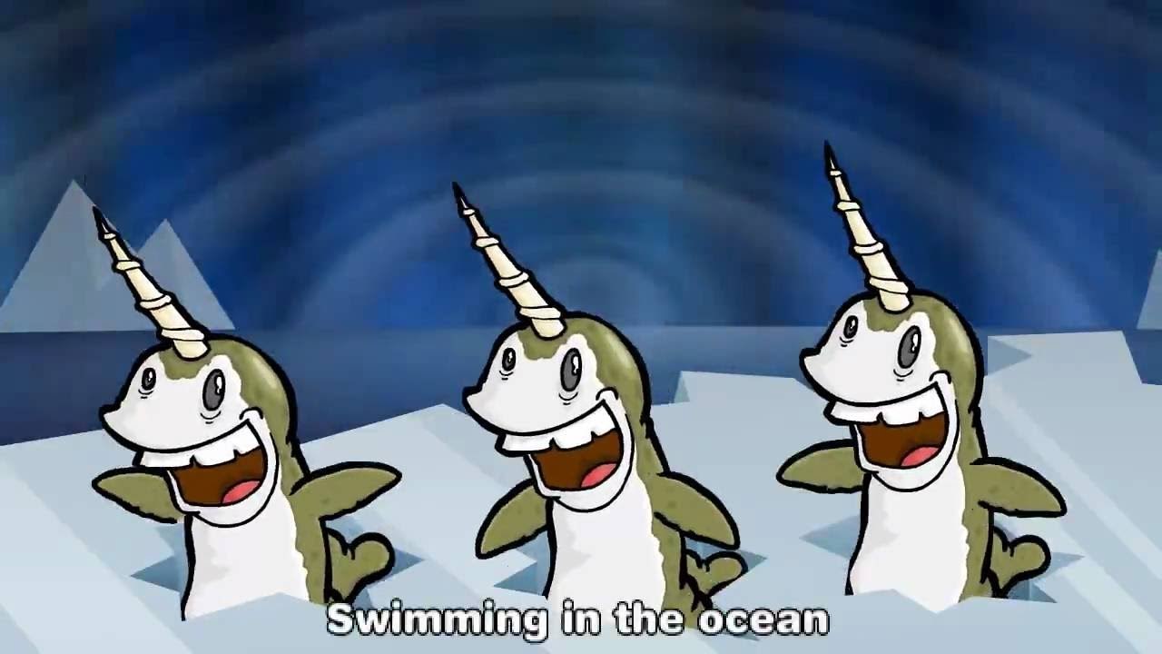 Narwhals | official german version (offizielle deutsche version)