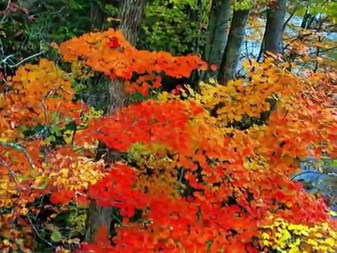 세종 출장안마,010-9753-5121,세종 출장마사지