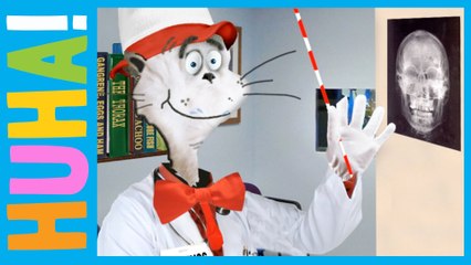 What The Cat In The Hat Did Next! | Difficult Second Job
