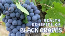 Health Benefits of BLACK GRAPES