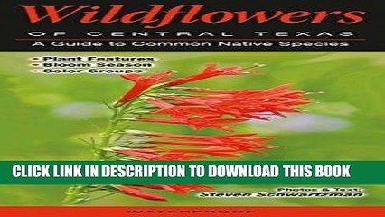 Read Now Wildflowers of Central Texas: A Guide to Common Native Species (Quick Reference Guides)