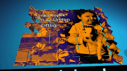 izmir satılık golden yavruları | www.kankakopek.com