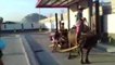 Farmer Uses Buffalo to Pull 10 Kids Through Fast Food Drive-Thru