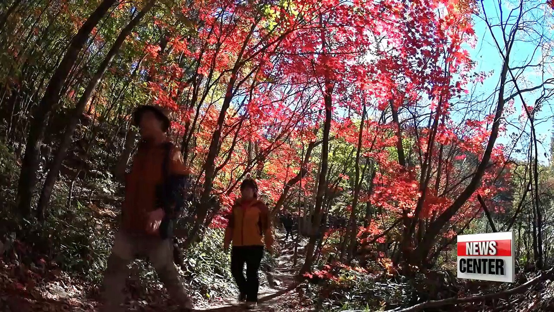 Korea promotes fall travel during two weeks of events