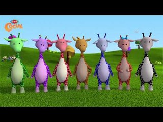 Pepee 7.Bölüm "Zulunun Doğum Günü Halayı"