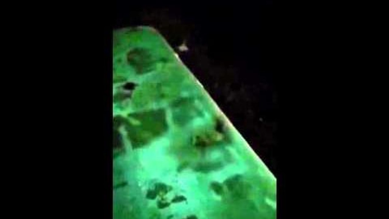 Saut dans une piscine Fail