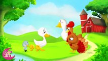 Histoire pour enfants : Le vilain petit canard