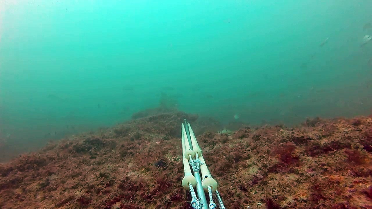 chasse sous marine maroc