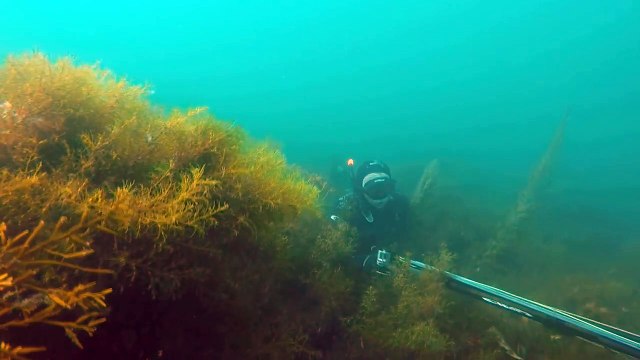 Chasse sous-marine CPES Bretagne