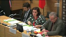 Extrait : Commission des lois : Emmanuelle Cosse auditionnée sur le parcours d'intégration des migrants