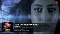 TUM JO MILE UNPLUGGED - Full Audio Song - New Bollywood Song 2016 - Songs HD