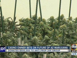 Casino owner bets on the future of marijuana in Arizona