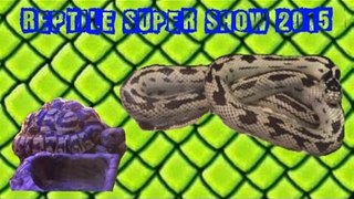 REPTILE SUPER SHOW 2015 (pt1) | Snakes Skinks Lizards Spiders Tortoise | Liam and Taylor's Corner