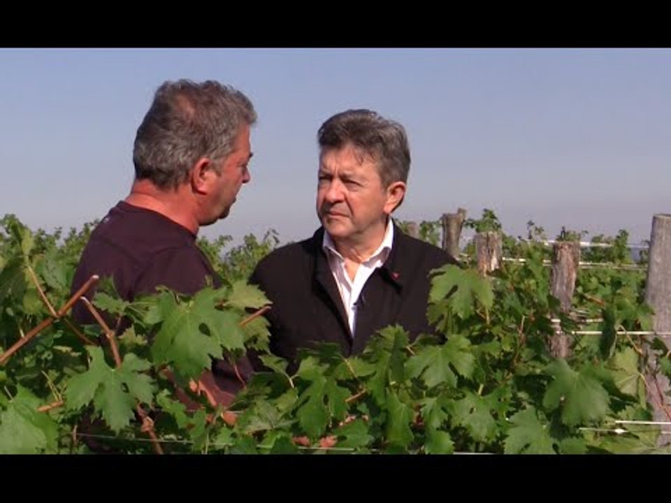 En commençant par le vin