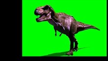 DINASOUR GREEN SCREEN