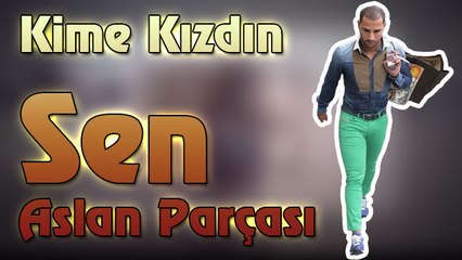 Kime Kızdın Sen Aslan Parçası