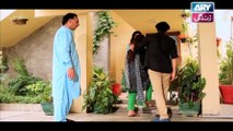 Haal-e-Dil - Episode 30 on Ary Zindagi in High Quality 26th October 2016