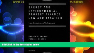Big Deals  Energy and Environmental Project Finance Law and Taxation: New Investment Techniques