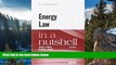 READ NOW  s Energy Law in a Nutshell  Premium Ebooks Online Ebooks