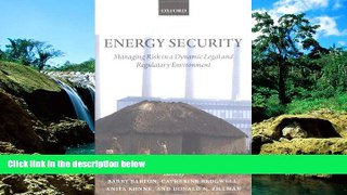 Must Have  Energy Security: Managing Risk in a Dynamic Legal and Regulatory Environment  Premium