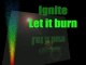 Ignite [album 2006] Let it burn
