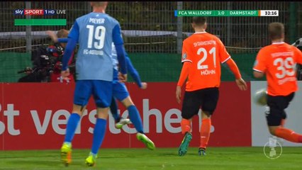 Nico Hillenbrand Goal HD - Walldorf	1-0	Darmstadt 26.10.2016