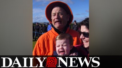 Internet Wonders Is This A Picture Of Bill Murray Or Tom Hanks?