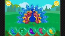 Learn animal traits and behaviors, Fun activities game by Baby Bus for baby or Toddlers
