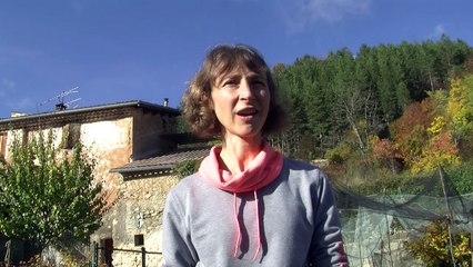 Bayons (04) : Récolte du safran retardée cette année