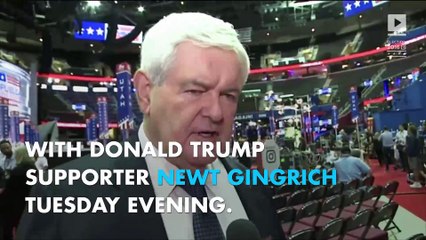 Megyn Kelly clashes with Trump supporter Newt Gingrich