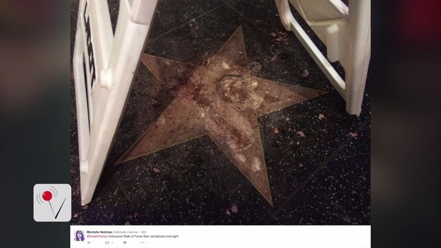 LAPD Investigating Donald Trump’s Destroyed Hollywood Walk Of Fame Star