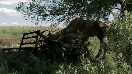 Раскол 18 серия