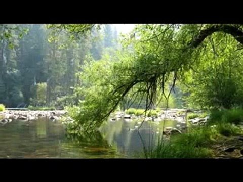 Sauvons notre planète