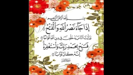 Sudais Abdul Rehman 110 Al Ansr