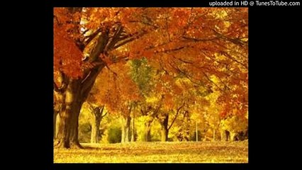 October 28 , 2015 - Bob Dylan  - Manchester U.K - Autumn leaves