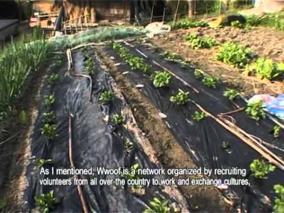 Japan ตอน 4 (ช่วงที่1).wmv