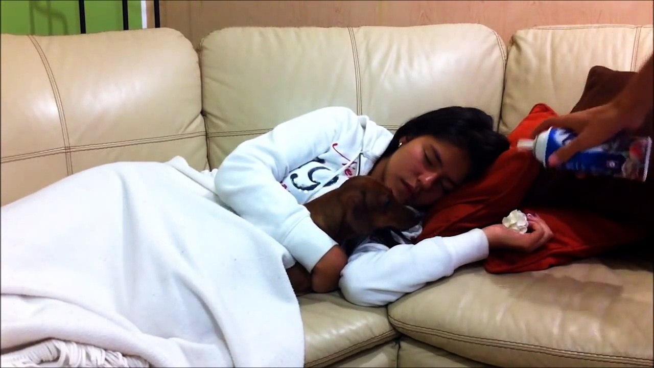 Shaving cream prank (sleeping prank, funny jokes, prank to asleep, scare sleeping girl) - YouTube