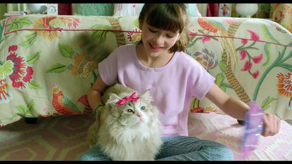 猫に変身してしまった社長、一体どーなっちゃうニャン？映画『メン・イン・キャット』予告編