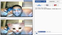 bromas chatroulette
