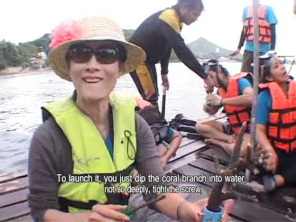 B1 part2.wmv