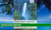 Big Deals  Regulating Energy and Natural Resources  Best Seller Books Best Seller