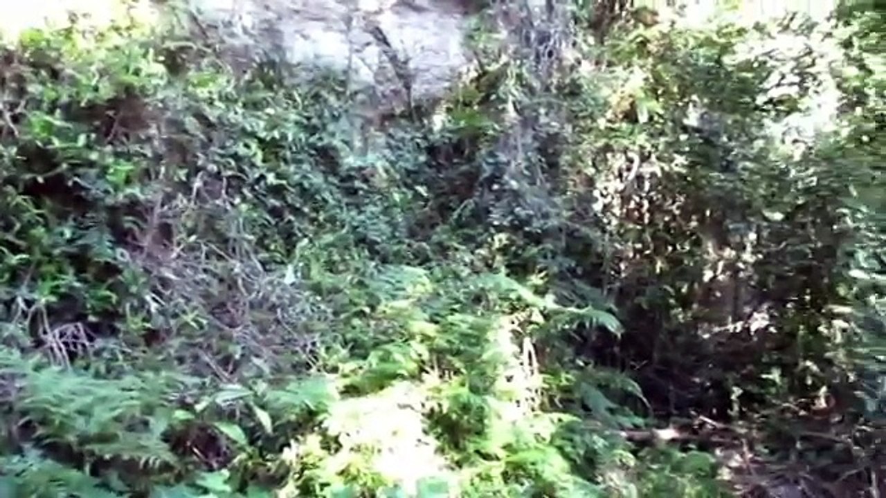 Primitive Technology Firesticks