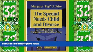 Big Deals  The Special Needs Child and Divorce: A Practical Guide to Handling and Evaluating