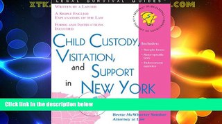 Big Deals  Child Custody, Visitation and Support in New York (Legal Survival Guides)  Full Read
