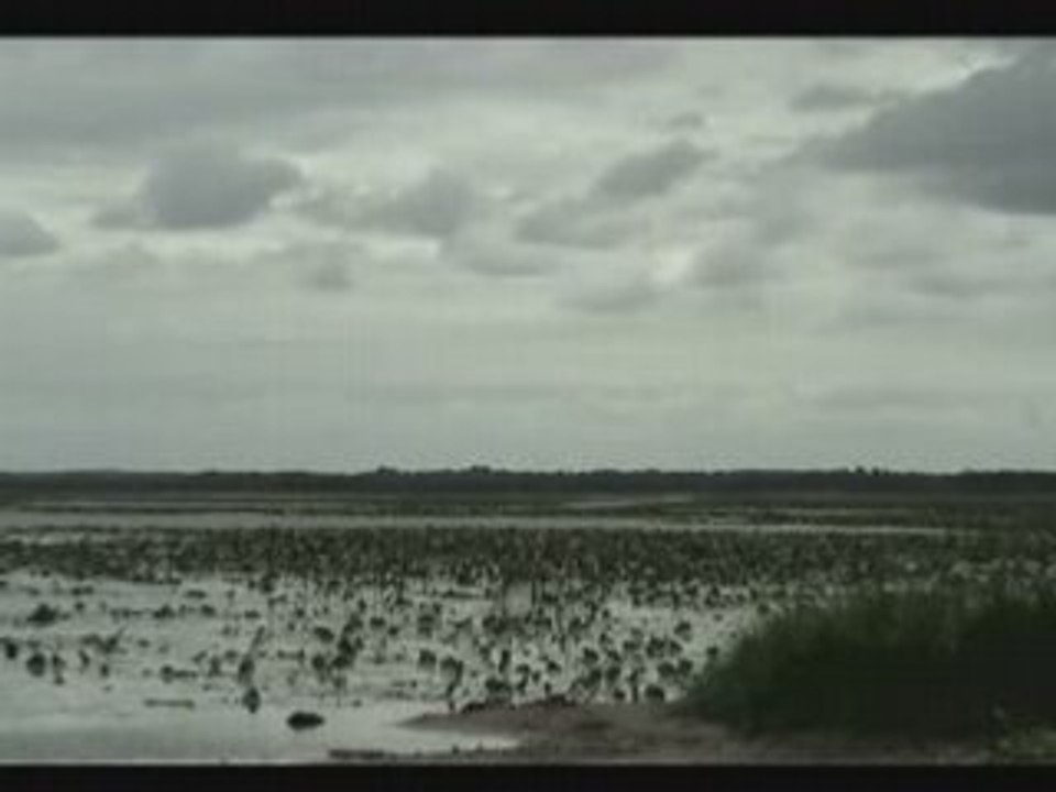 Lac de campagne