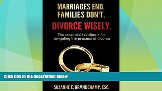 Big Deals  Marriages End. Families Don t. Divorce Wisely.: The essential handbook for navigating