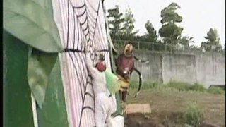 Most Extreme Elimination Challenge - S 3 E 24 - Rodeo Industry vs. The Courtroom