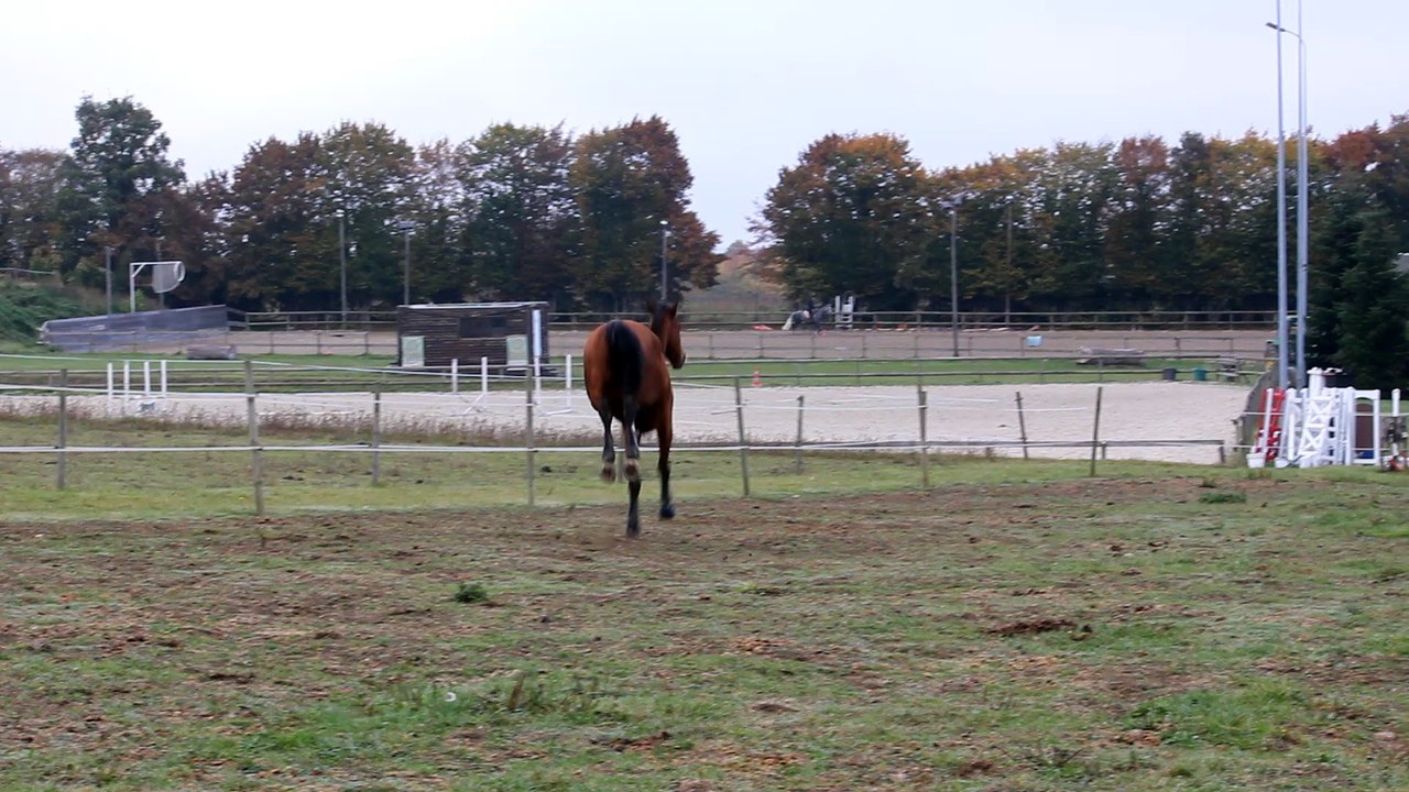 16-10-23 - Liberté :D !